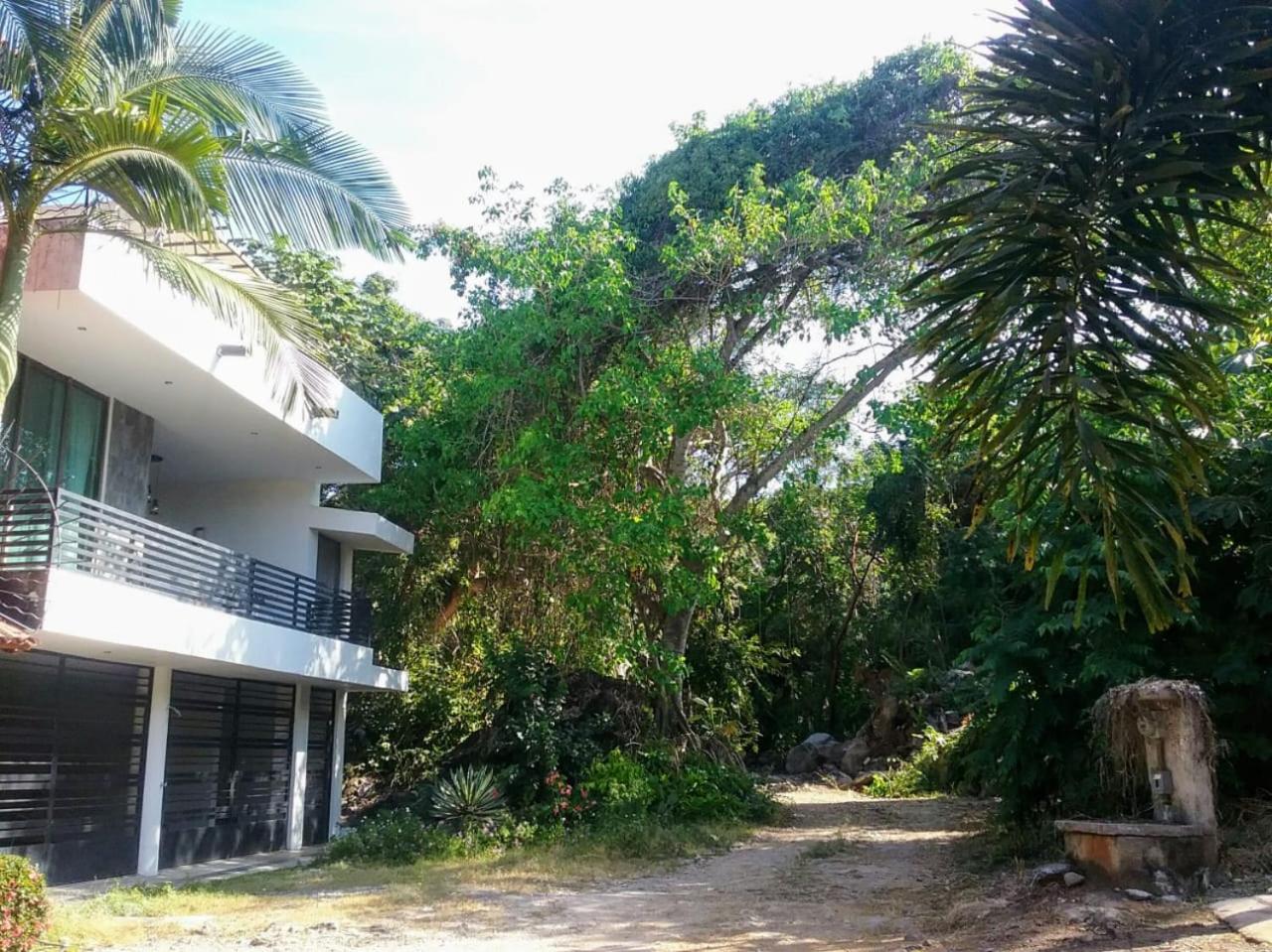 Casa Arbol De Paz Habitacion Doble Chacala  Exteriör bild